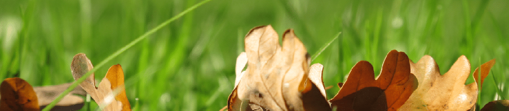 energy saving action measures