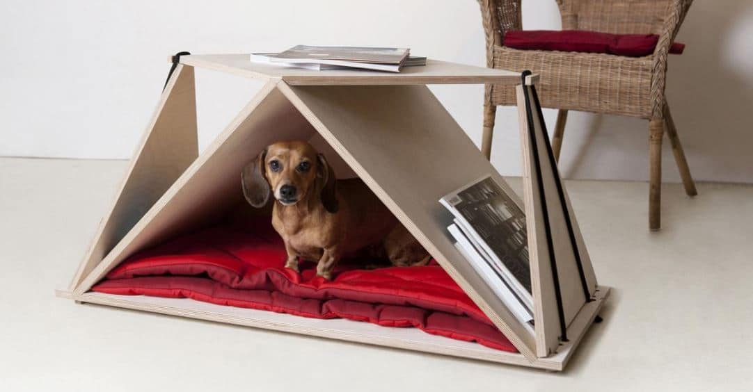 animals not on home staging