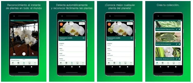 app gardening and flowers