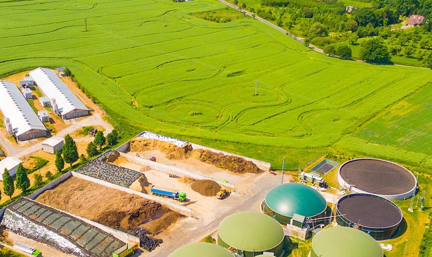 bioenergy; biomass energy