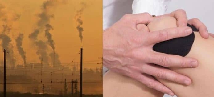 pollution and bone health