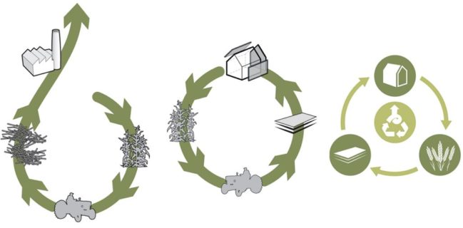 circular economy development