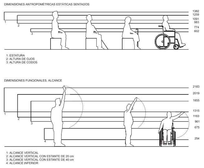 anthropometric dimensions