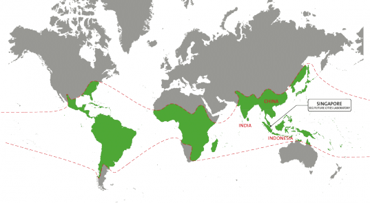 where the bamboo grows