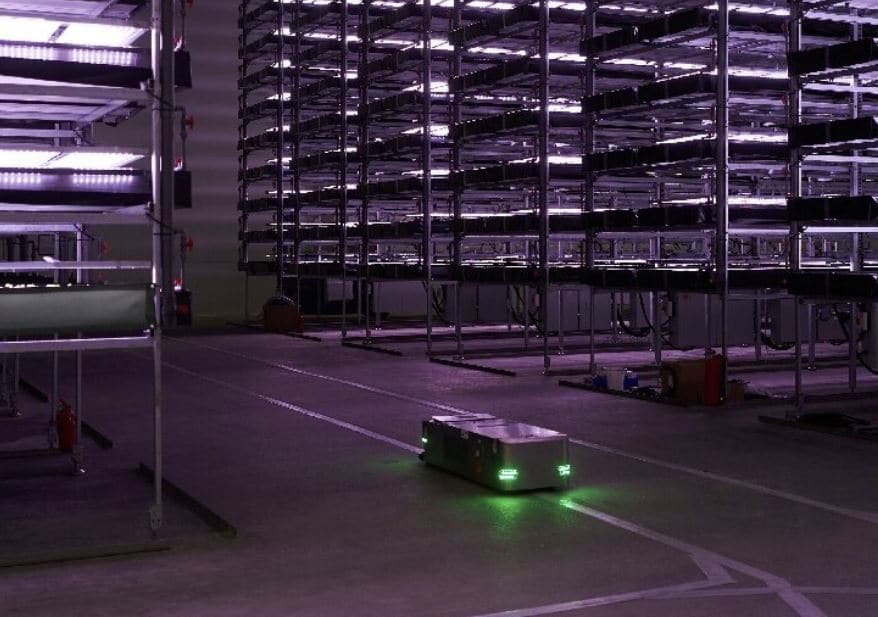 vertical farming buildings