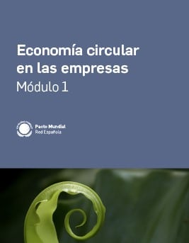 circular economy training for companies