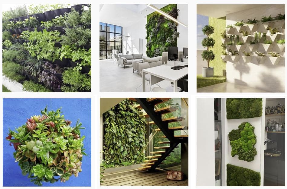 photos and images of vertical gardens to get inspired
