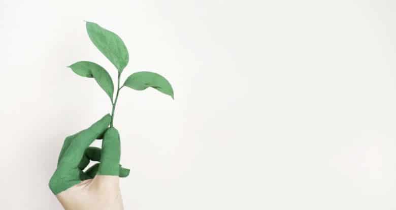 environmental impact insulation buildings