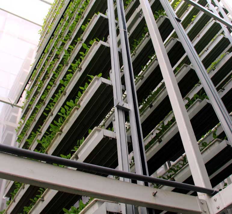 innovation food project