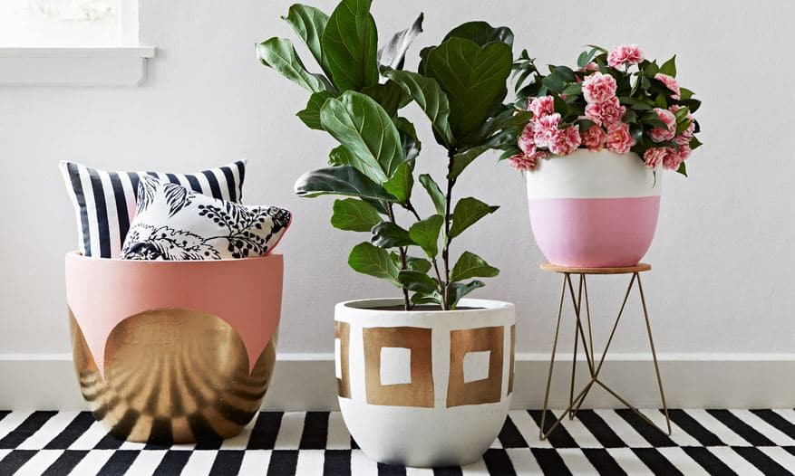 pots for classic decoration