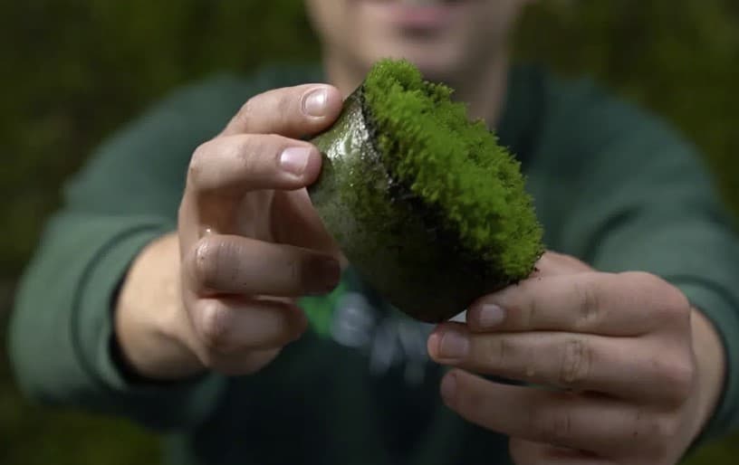 innovative and sustainable materials