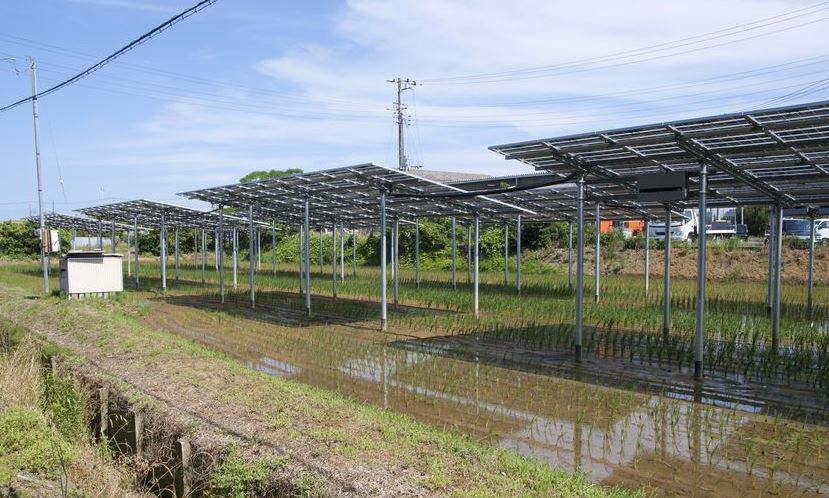 solar panels in agriculture