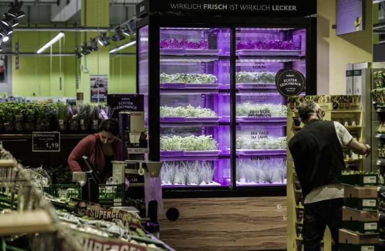 supermarkets with fresh vegetable gardens