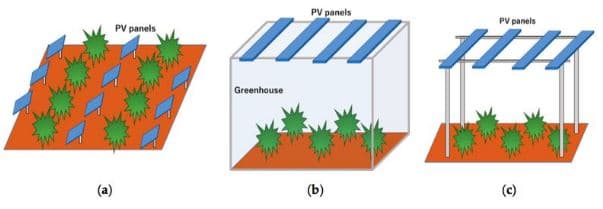 types of agrivoltaic systems