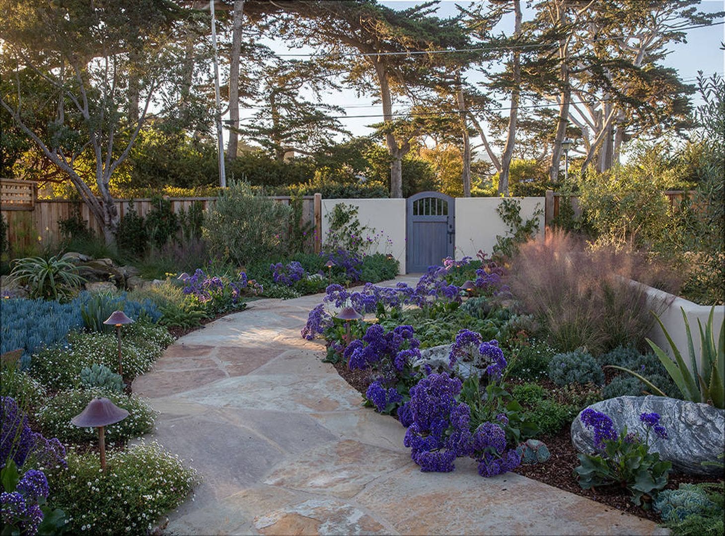 Win the War Against Weeds: Natural Gardening Tips to Try